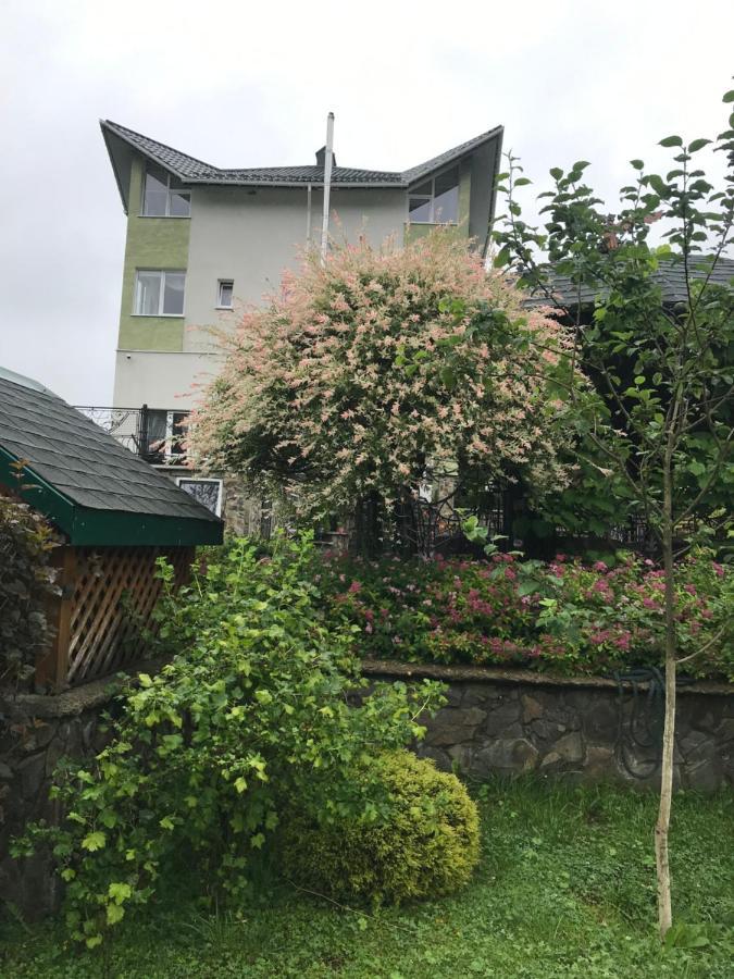 Ярдана Appartement Skhidnytsia Buitenkant foto